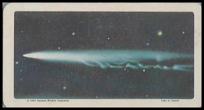 40 Halley's Comet